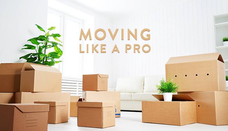 Moving house like a pro