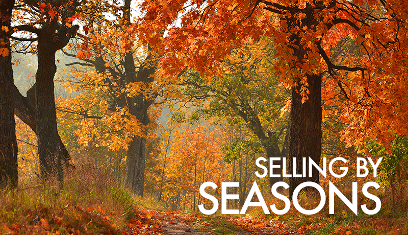 image of Seasonal Selling